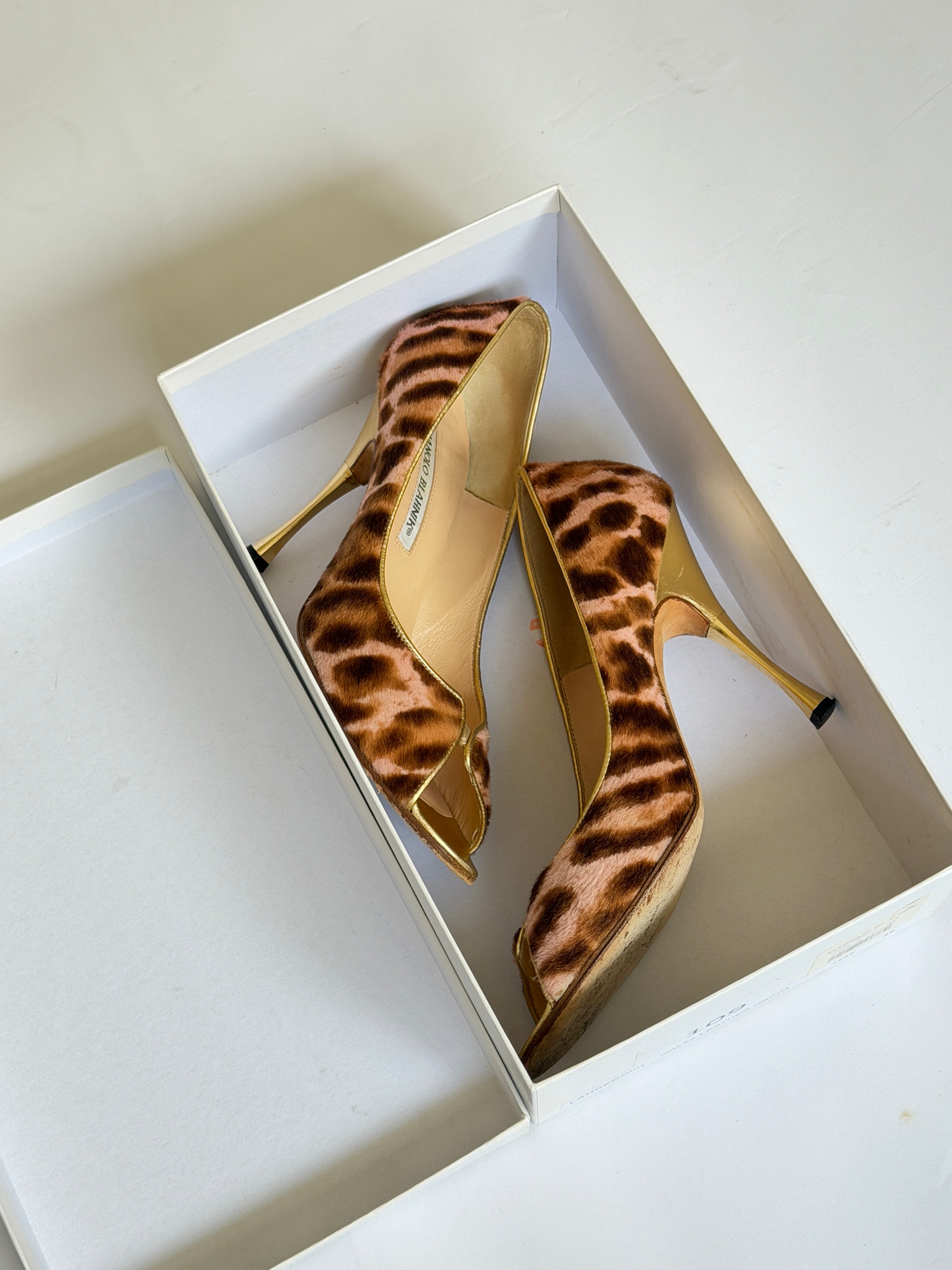 Manolo Blahnik Leopard Print Heels (EU 37.5/ US 7)